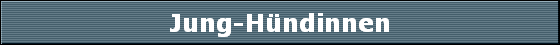Jung-Hndinnen