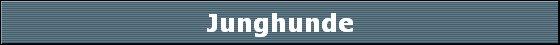 Junghunde