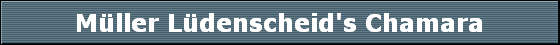 Mller Ldenscheid's Chamara