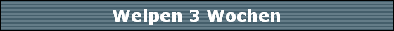 Welpen 3 Wochen